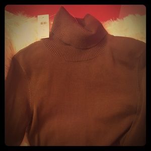 New Ann Taylor sweater